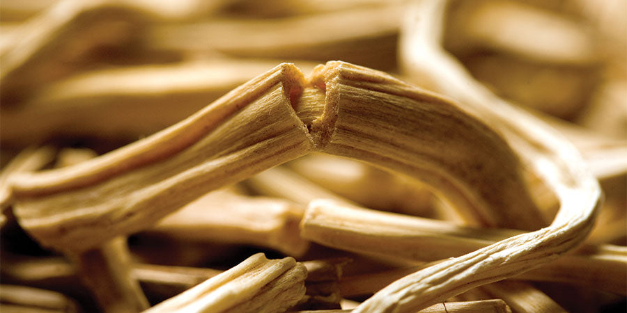 Shatavari + Ginseng